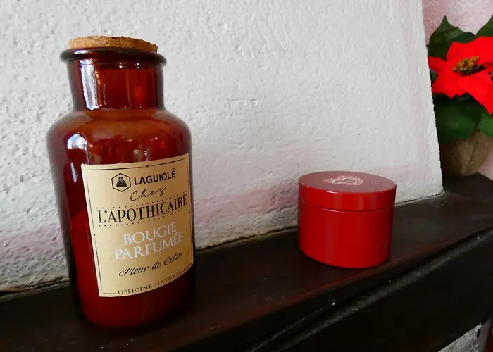 Le Coucou De Thovex Apartament *